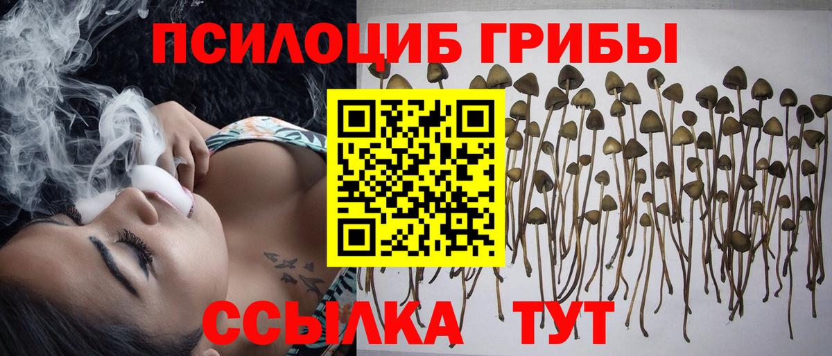 Псилоцибиновые грибы мухоморы Лянтор